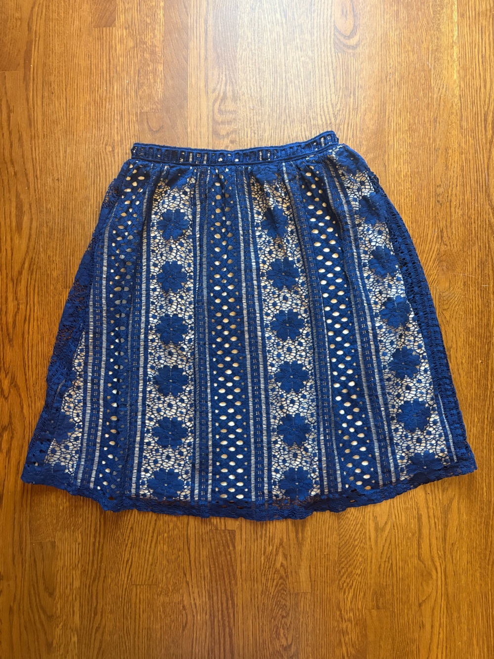 Blue Lace Overlay Skirt with Nude Lining